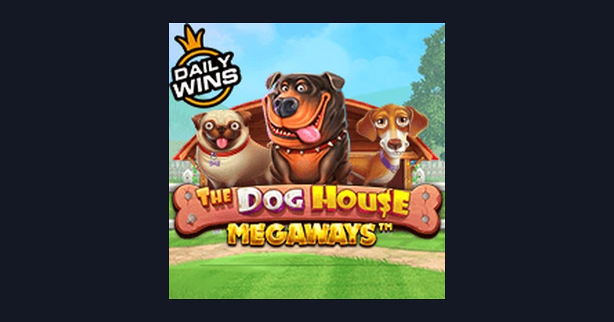 Tips Menang Buat Pemula di Slot The Dog House Megaways yang Seru dan Menguntungkan